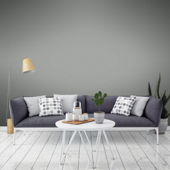 Shoji Paint - 110770_ROOMSET_SHOJI_02.jpg