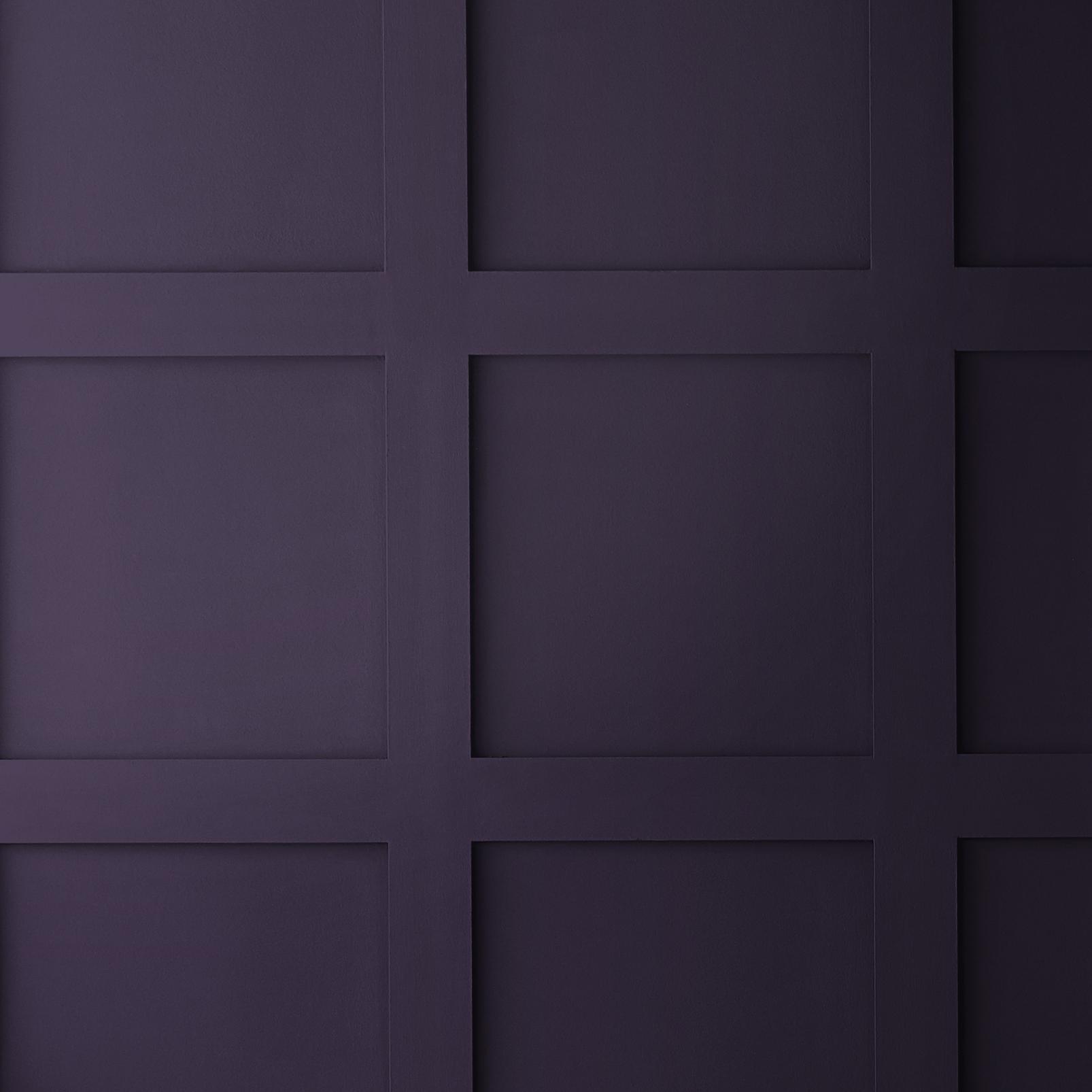 Buddleia Paint