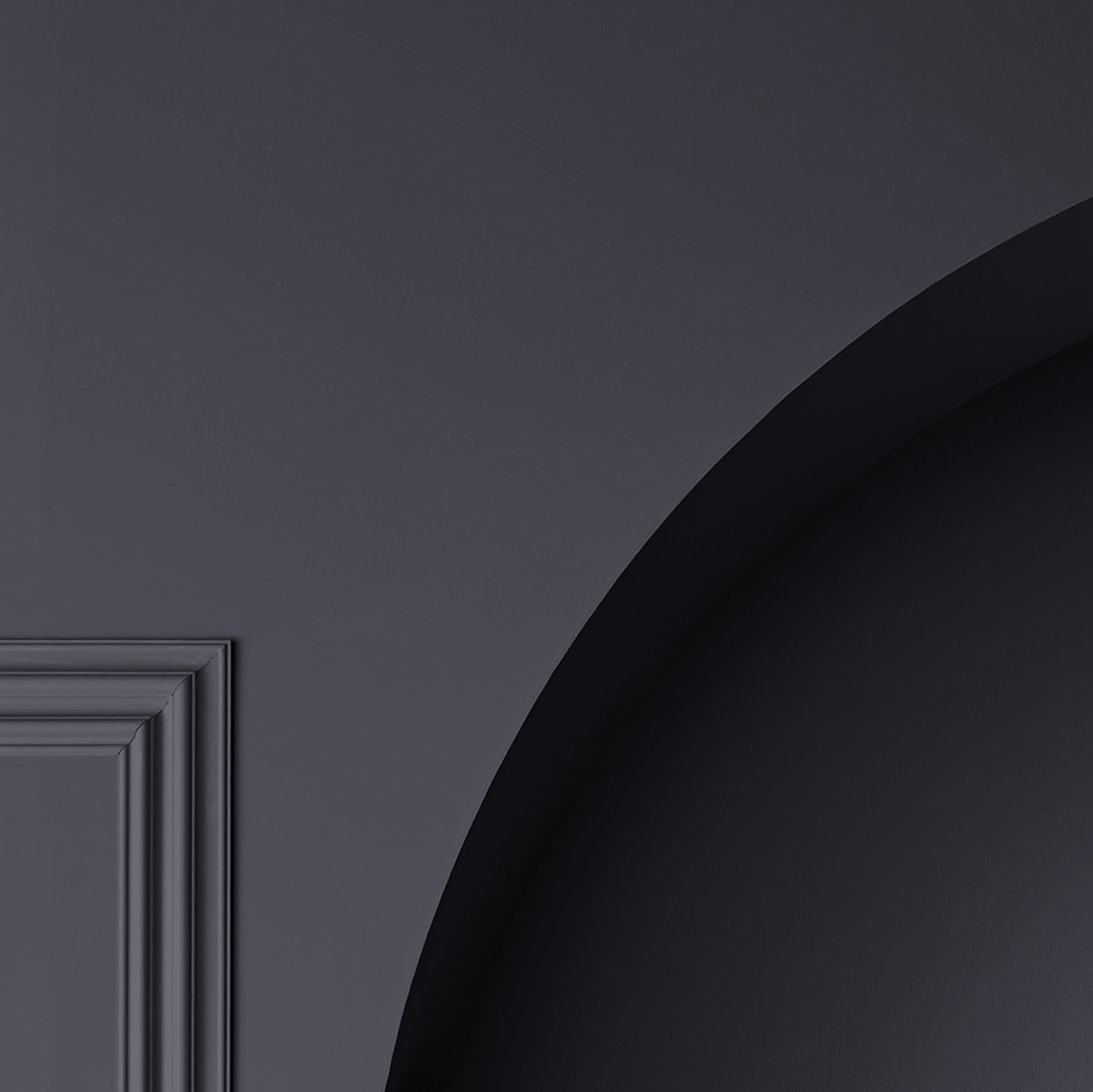 Velvet Fig Paint