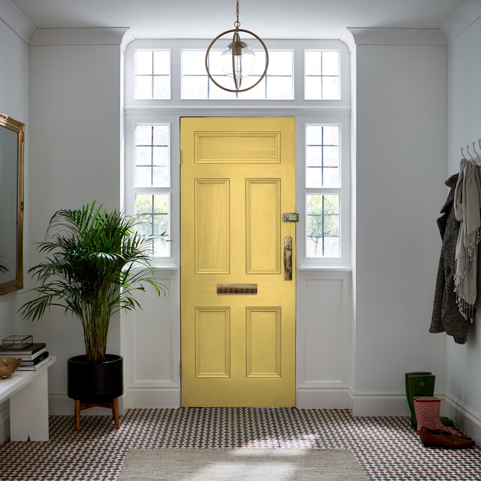Lilium Paint Lilium Paint