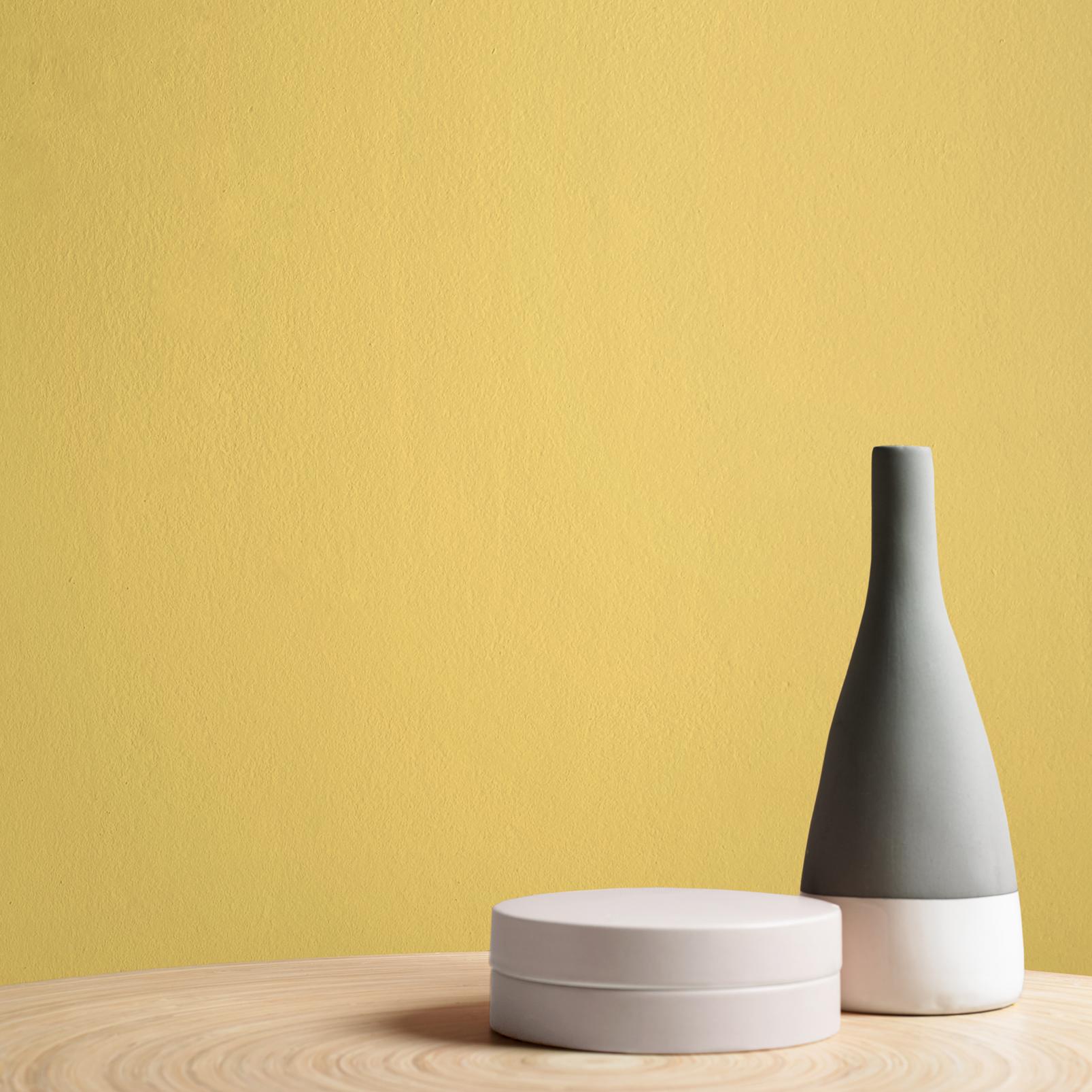 Lilium Paint Lilium Paint