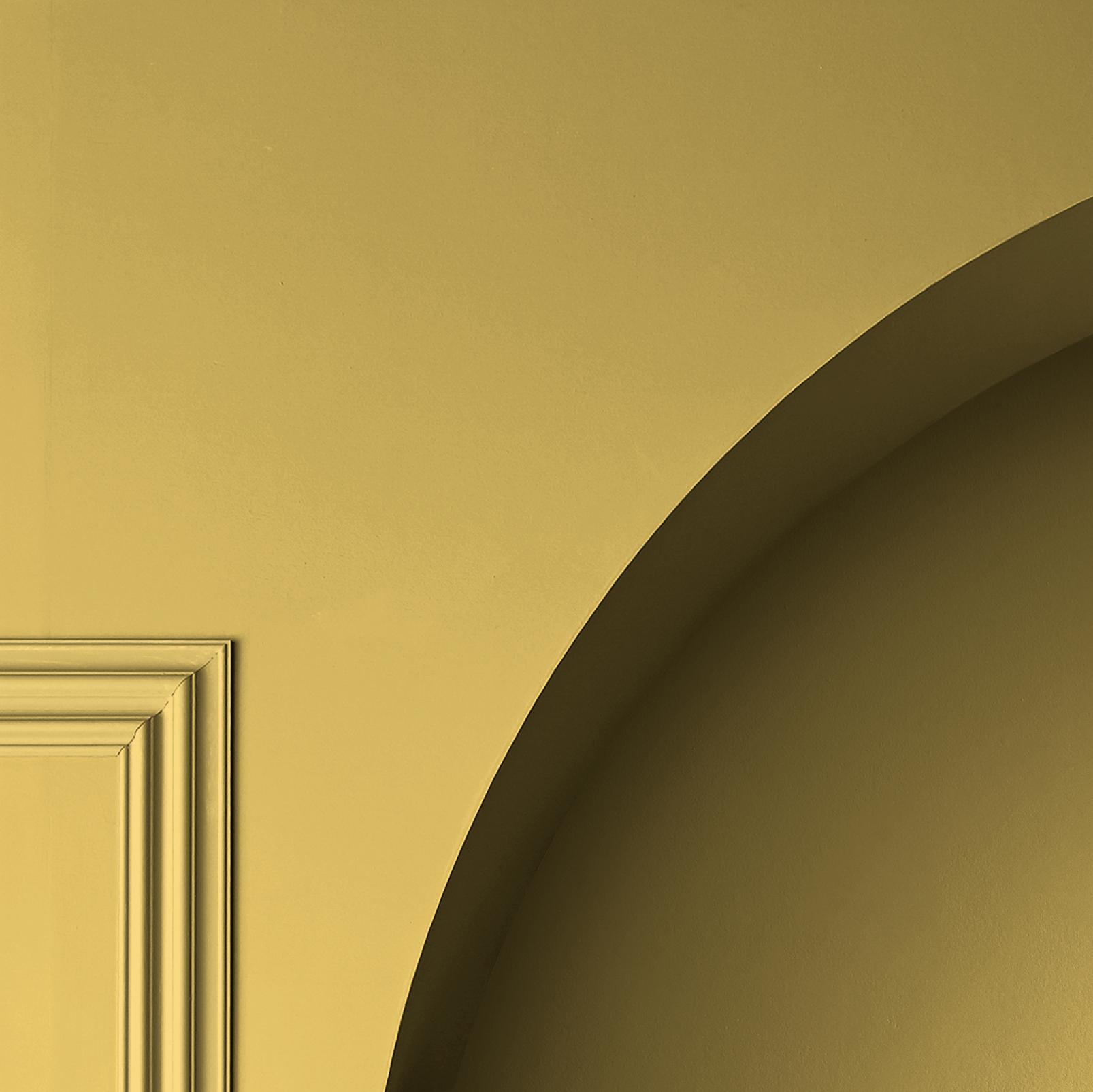 Lilium Paint Lilium Paint