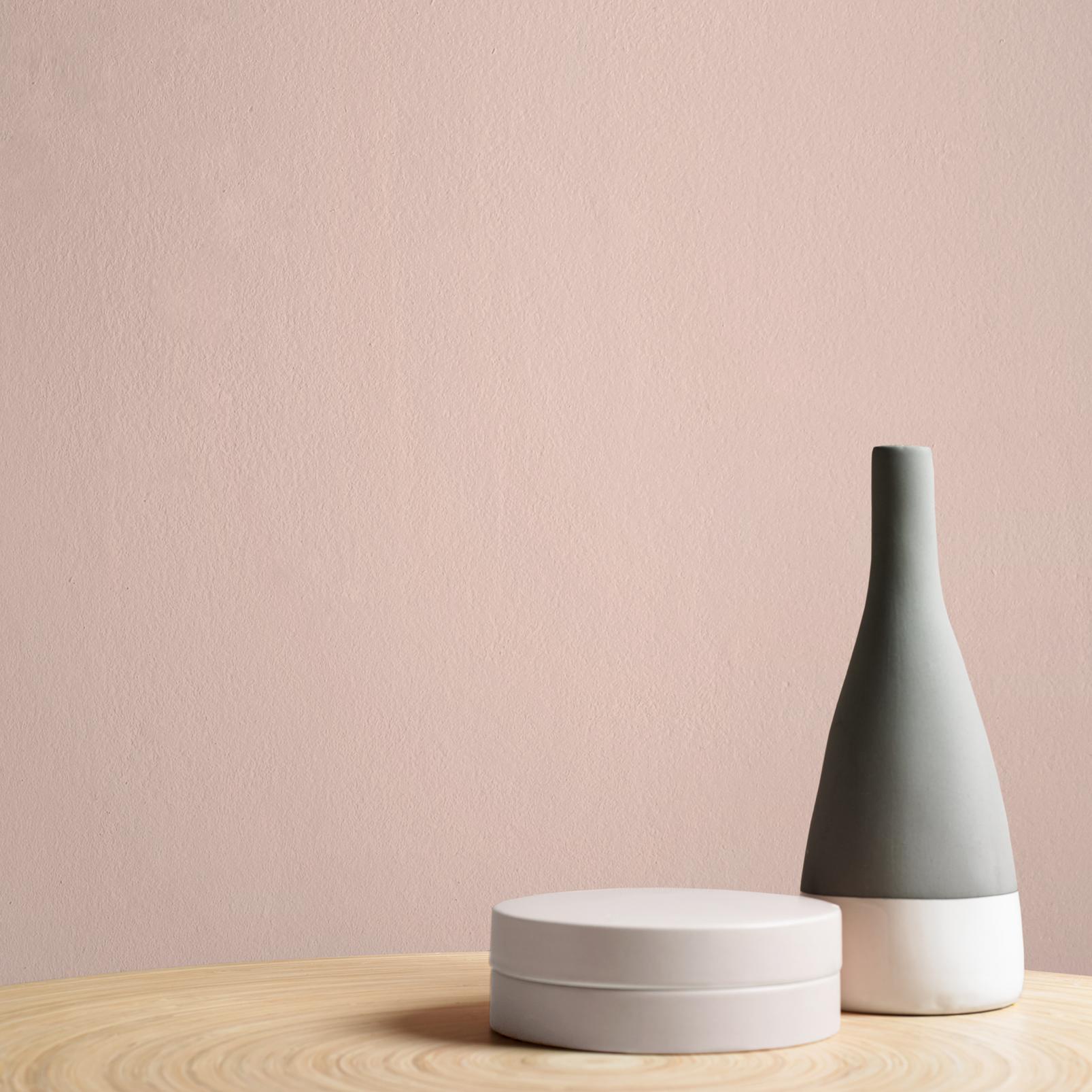 Muted Blush Paint Muted Blush Paint
