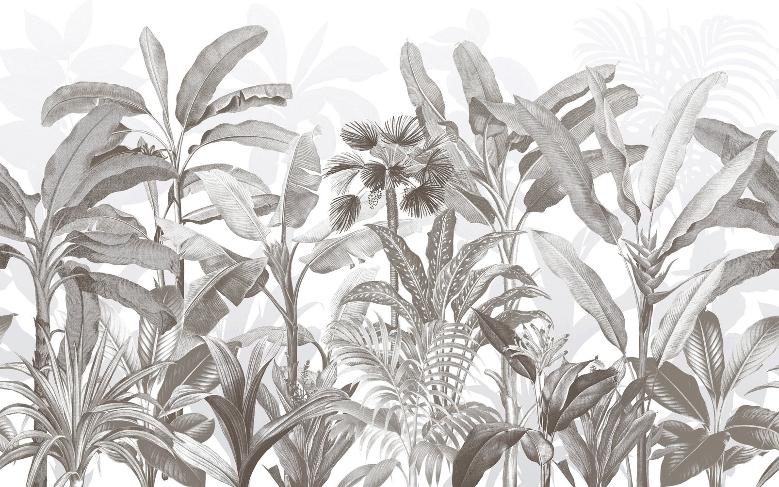Congo Sketch Bespoke Mural