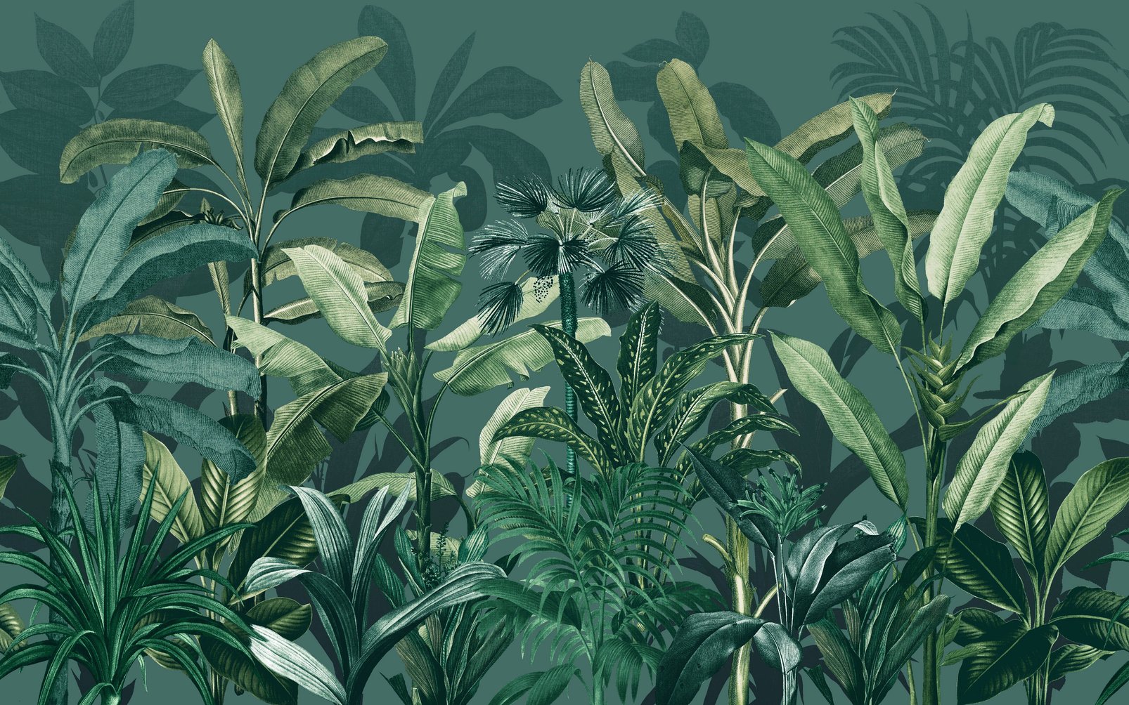 Congo Teal Bespoke Mural