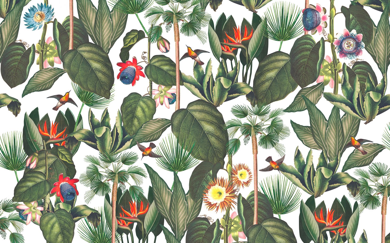 Botanique Jungle Day Bespoke Mural