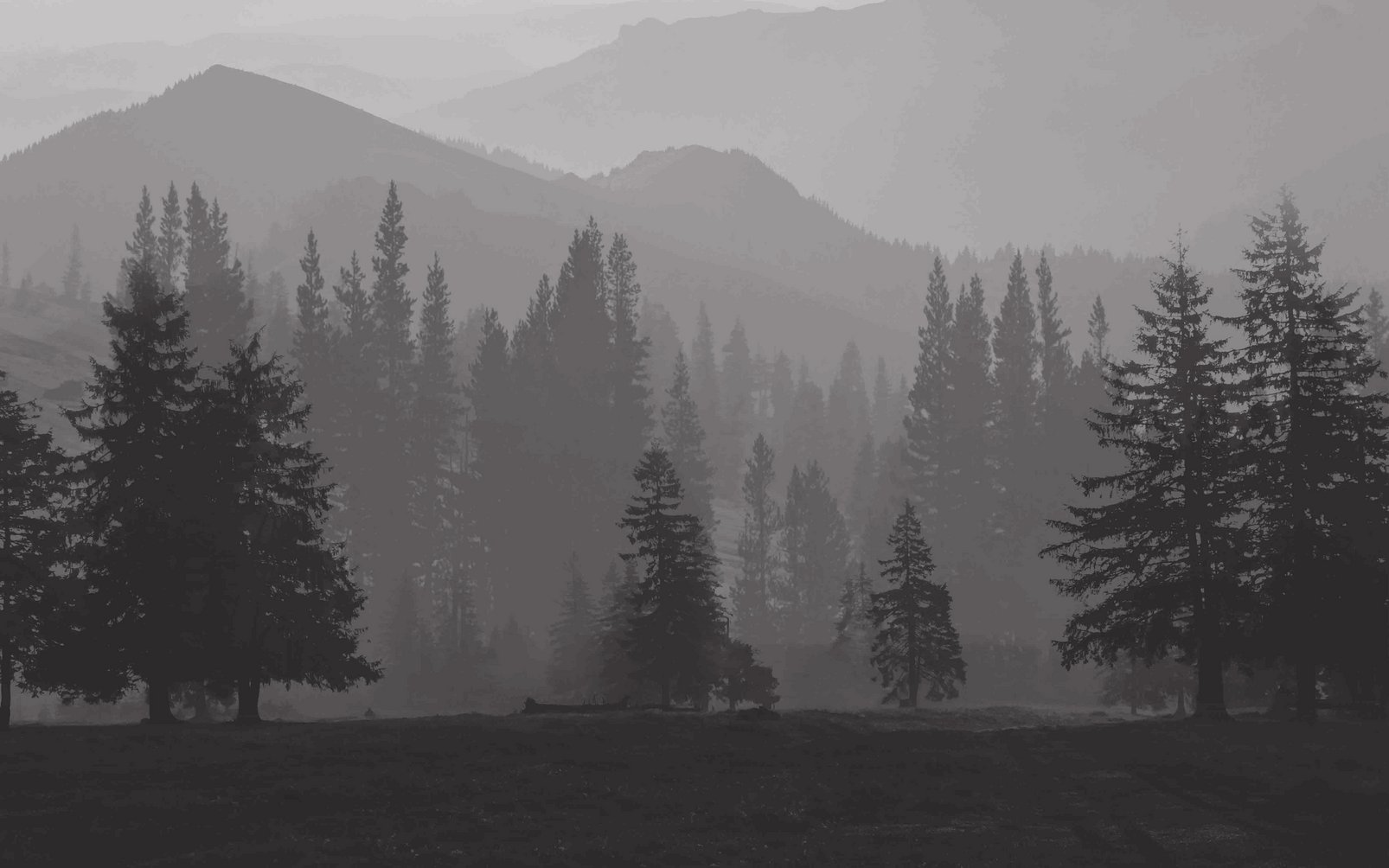Misty Mountains Bespoke Mural