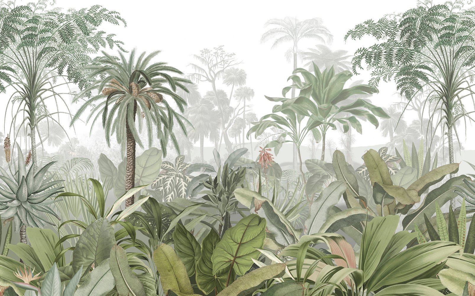 Paradise Jungle Palm Bespoke Mural