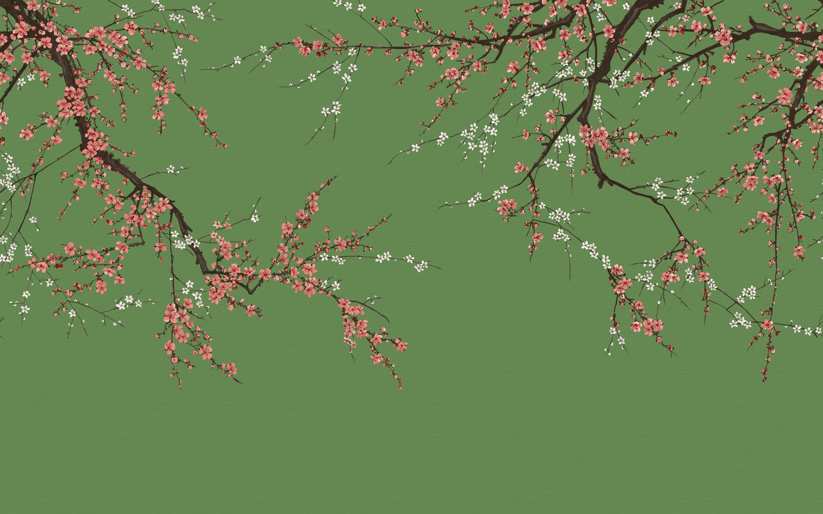 Sakura Ecuador Bespoke Mural