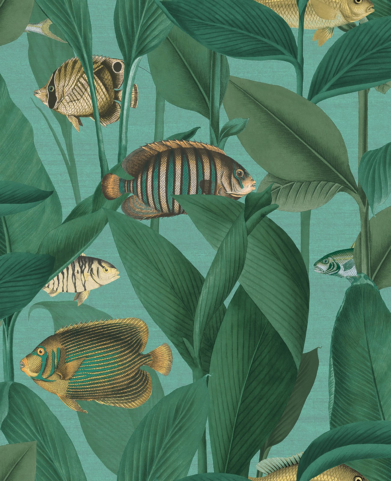 Aquarium Aquamarine Wallpaper