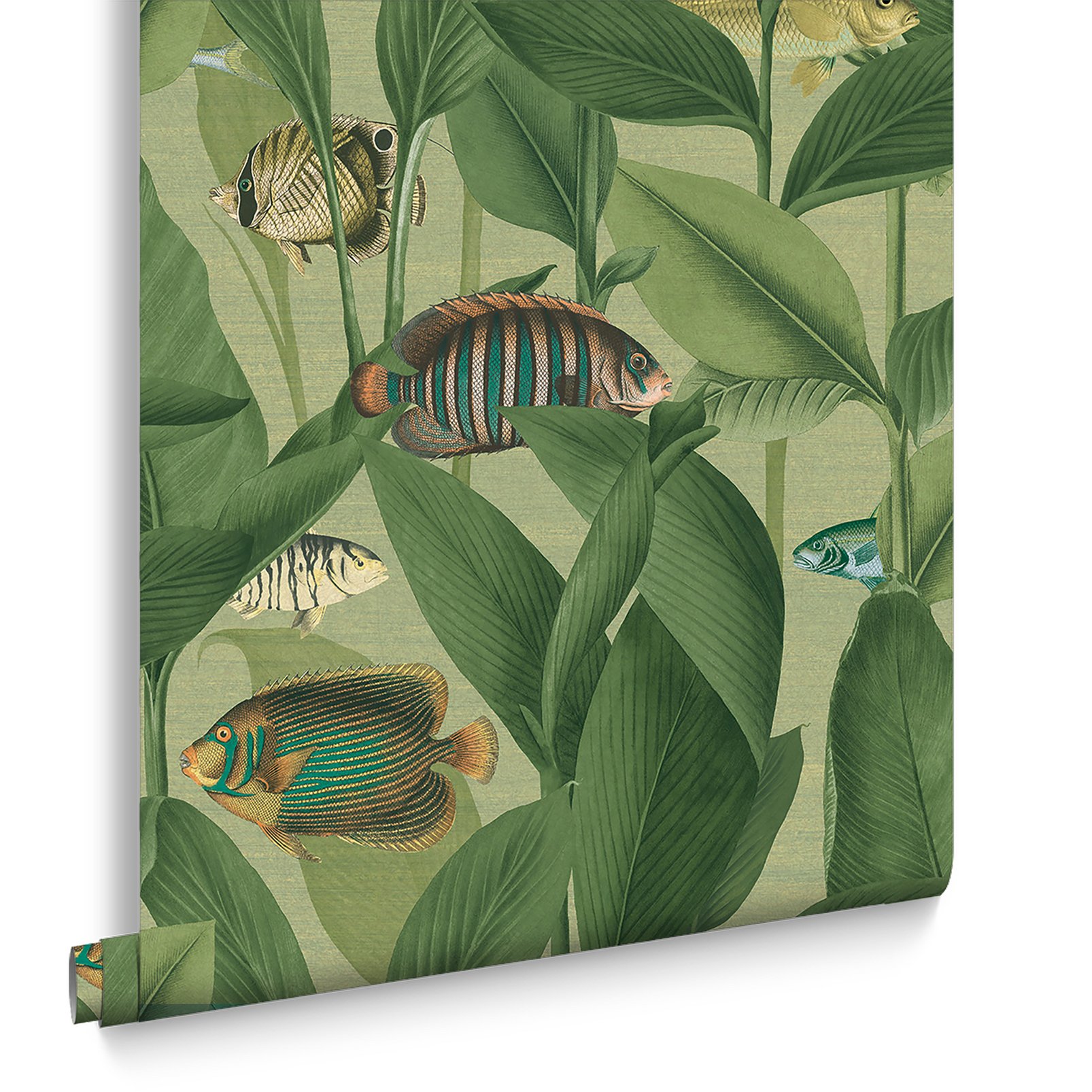 Aquarium Green Wallpaper Aquarium Green Wallpaper