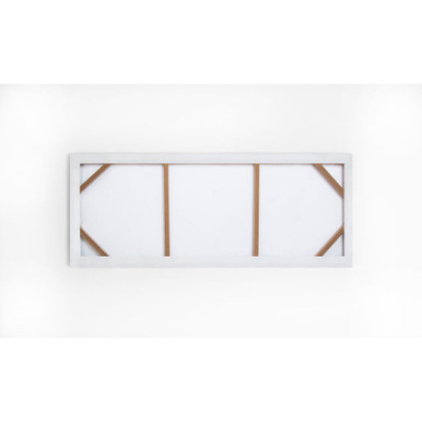 row of alliums printed canvas wall art