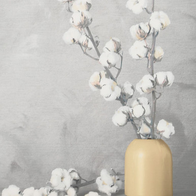 Cotton Flower Sprigs Canvas Wall Art