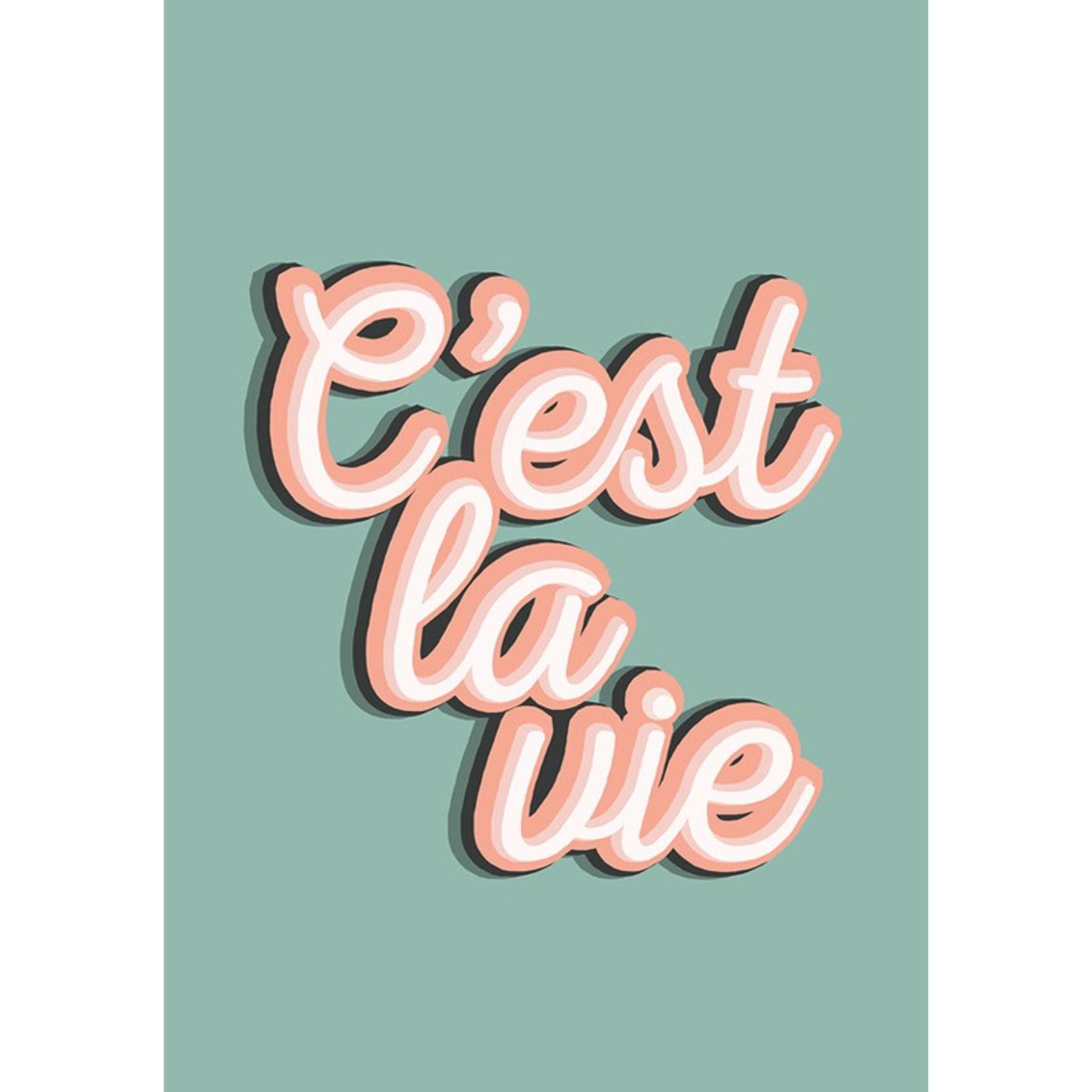 C'est La Vie Multicolour Wall Art