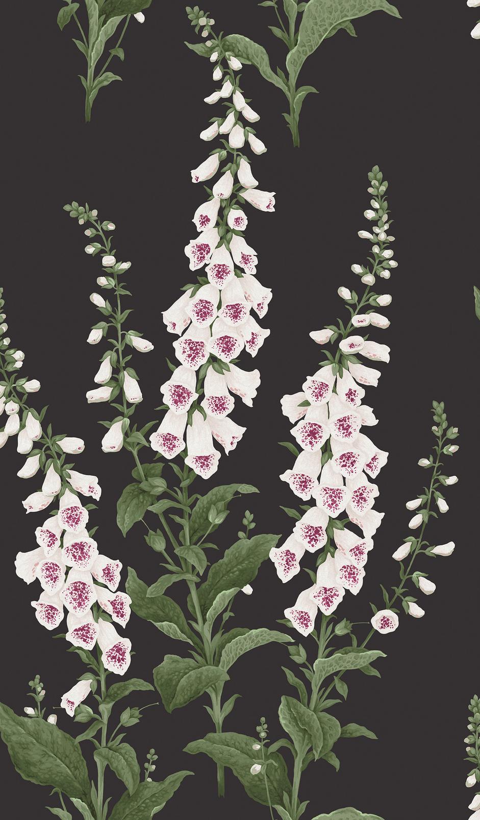 Foxglove Night Wallpaper