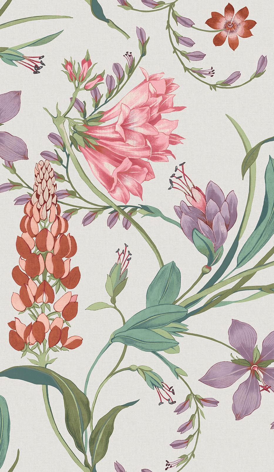 Botanists Scroll Pink Wallpaper