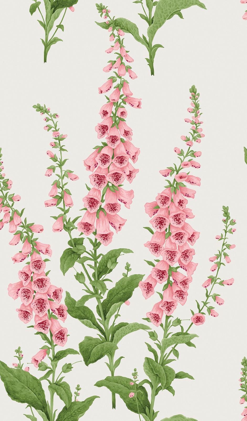 Foxglove Day Wallpaper