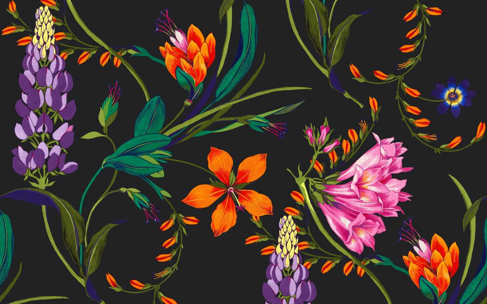 Botanist's Scroll Night Bespoke Mural