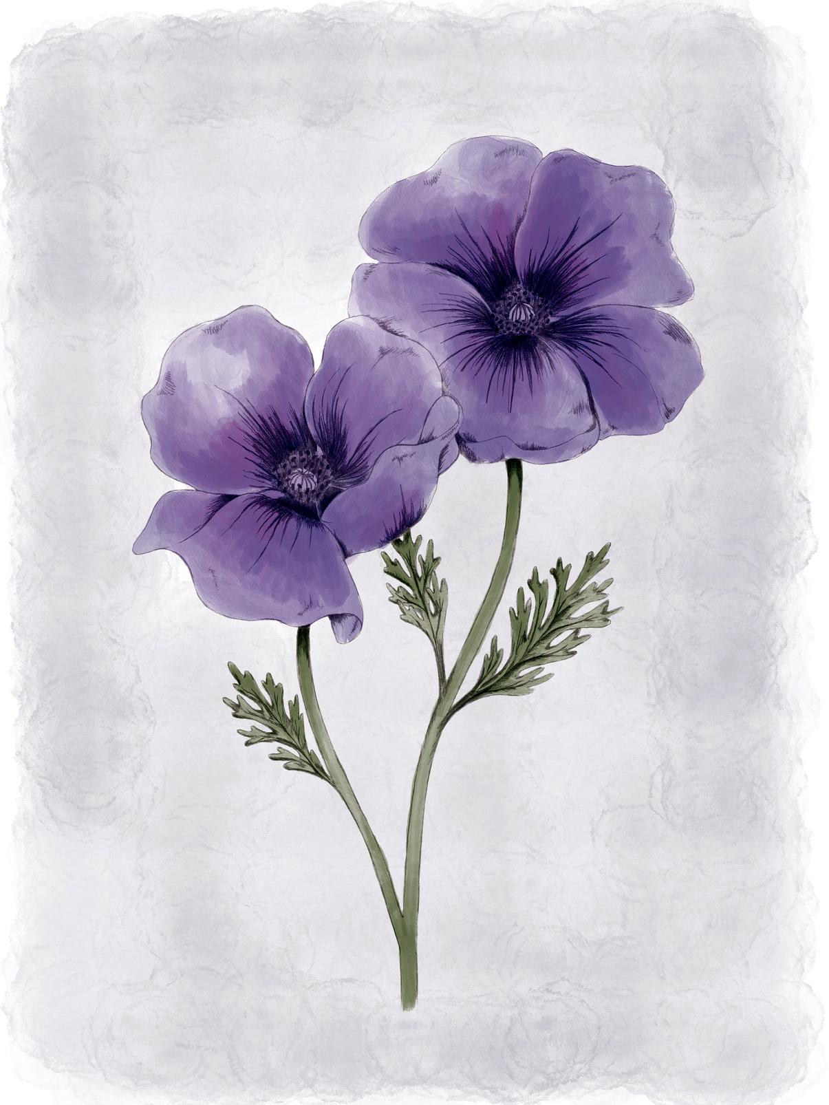Anemone Floral Wall Art