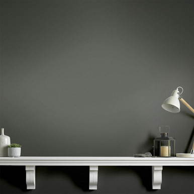 Sally Cinnamon Paint Sally Cinnamon Paint