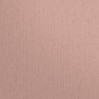 Tisbury Shell Wallpaper Tisbury Shell Wallpaper