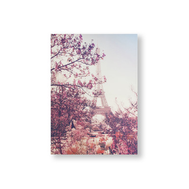 Paris In Bloom Printed Canvas Wall Art