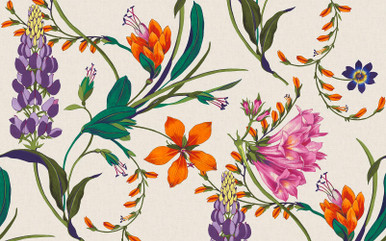 Botanist's Scroll Vivant Bespoke Mural