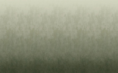 Oblique Ink Olive Bespoke Mural