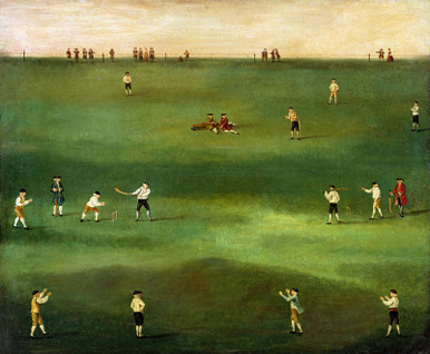 An Exact Representation of the Game of Cricket Bespoke Mural