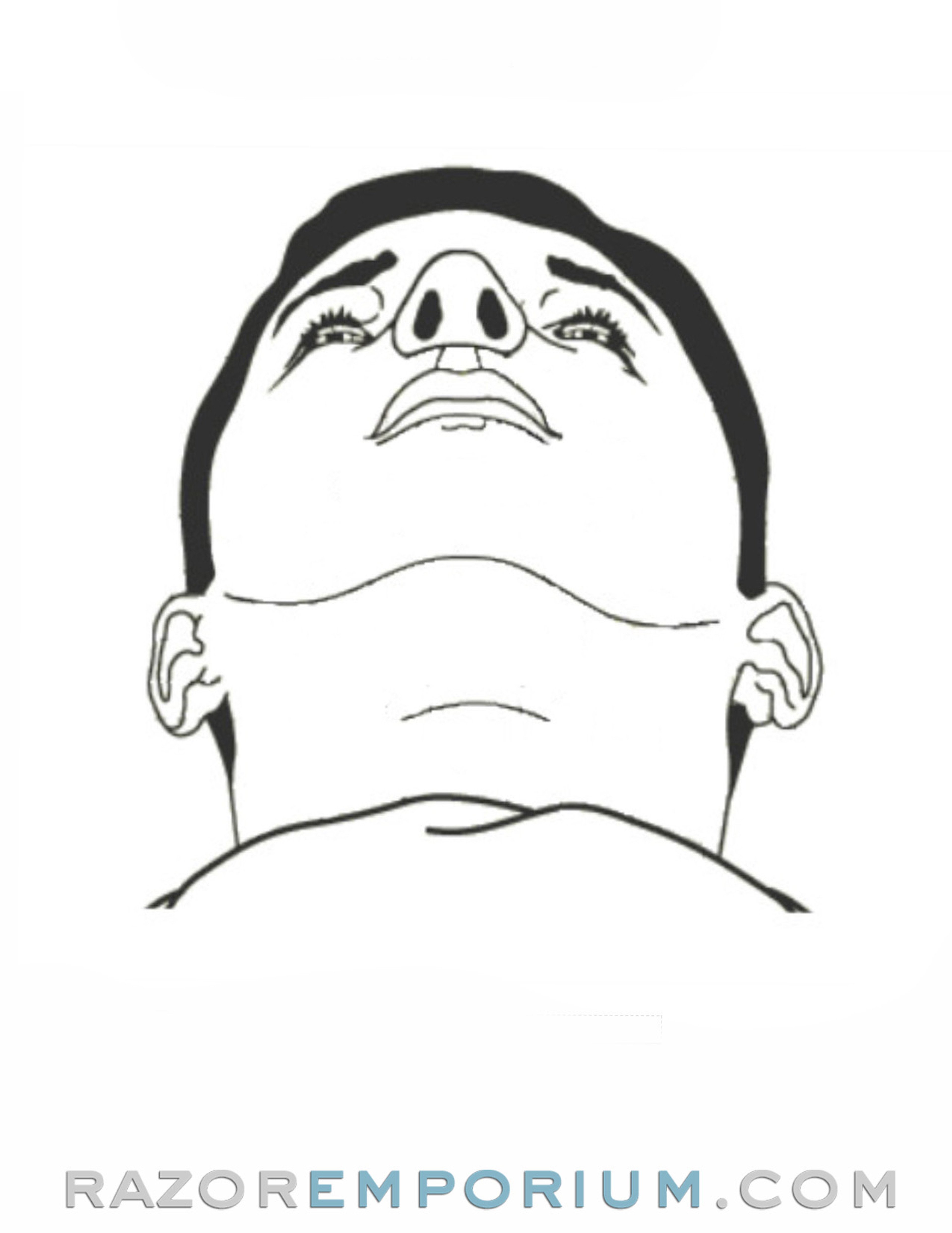 Grain Map Tutorial for an Irritation Free Wet Shave