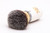 Omega 46711 HI-BRUSH Synthetic Shaving Wood Brush