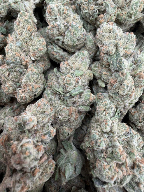 Cereal Milk is a premium hybrid celebrated for its dense, chunky buds coated in a thick blanket of sparkling trichomes. Bright green flowers with subtle lavender hues and vibrant orange pistils create exceptional top-shelf bag appeal, making every nug look as frosty as it is flavorful. Its rich terpene profile blends sweet creamy vanilla, sugary cereal milk, fresh berries, and a hint of citrus with a smooth, earthy finish. Cereal Milk delivers a balanced high that begins with an uplifting wave of happiness and mental clarity before settling into a soothing body relaxation, making it a perfect anytime strain for creativity, socializing, or simply kicking back and enjoying a flavorful smoke.