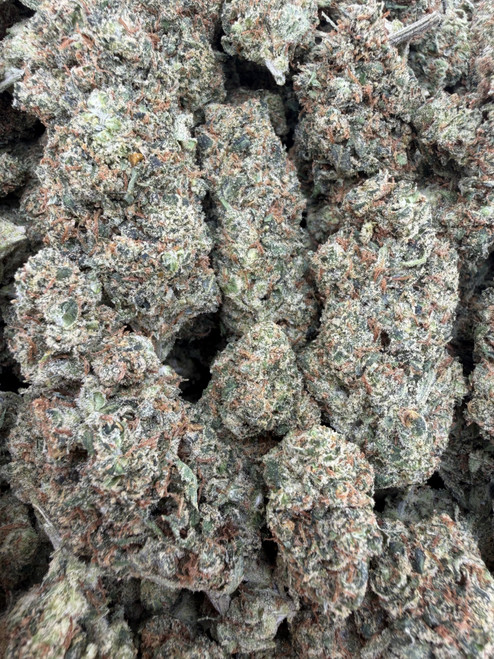 Iceberg Slim is a premium top-shelf cultivar known for its dense, resin-rich buds coated in a thick layer of sparkling trichomes. Deep emerald-green flowers accented by dark purple hues and vibrant orange pistils create exceptional bag appeal, giving each nug a frosty, luxurious finish. Its terpene profile delivers a bold blend of sweet citrus, earthy pine, and gassy diesel with subtle herbal undertones for a smooth, flavorful smoke. Iceberg Slim offers a balanced, long-lasting experience that begins with an uplifting cerebral buzz before settling into a soothing body relaxation, making it an excellent choice for any time of day when you're looking to stay elevated, relaxed, and inspired.