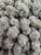 Oreoz is a premium top-shelf cultivar prized for its dense, chunky buds coated in an exceptionally thick layer of shimmering trichomes. Deep green flowers with rich purple undertones and vibrant orange pistils create stunning bag appeal, making every nug look as frosty as it is potent. Bursting with sweet chocolate cookie notes, creamy vanilla, earthy spice, and a hint of diesel, Oreoz delivers a rich, dessert-like flavor with a smooth, lingering finish. Its deeply relaxing, euphoric effects melt away stress while promoting full-body comfort and mental calm, making Oreoz an excellent choice for evening sessions, unwinding after a long day, or simply enjoying a premium, flavorful smoke.