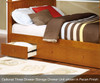 Allen House Brandon Full over Full Bunk Bed White | Allen House | AH-J-FF-01