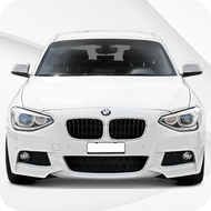 1 Series [F20/F21] (2010-2019)
