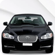 XF