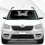 Yeti [MK1] (2009-2014)