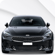 Stinger