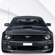 Mustang [MK5] (2005-2010)