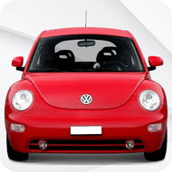 Beetle