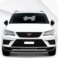 Ateca [MK1] (2016-2020)