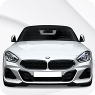 Z4 [G29] (2018-On)