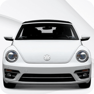 Beetle [A5] (2011-2019)