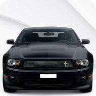 Mustang [MK5 Facelift] (2010-2014)