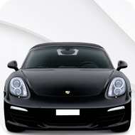 Boxster & Cayman [981] (2012-2016)