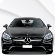 SLC [R172] (2016-2020)