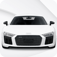 R8 [MK2] (2015-2023)