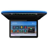 Roof Mount Monitors