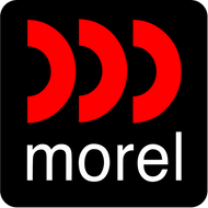Morel